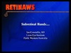 Subretinal Bands...
