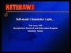 Self-Made Chandelier Light