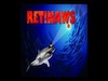 RETINAWS - Chicago 2010
