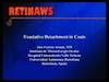 Exudative Detachment in Coats