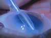 CapsuleGuard Commercial