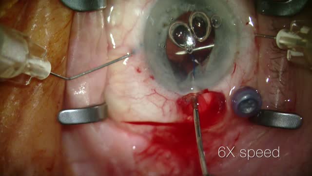 Bubble Bubble Toil and Trouble