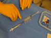 In-Service Video for Mitosol
