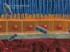 The Pathophysiology of Wet AMD