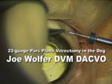 23-gauge Pars Plana Vitrectomy in a Dog