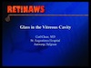 Glass in the Vitreous Cavity