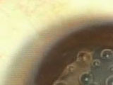 Thumbnail for segoto
