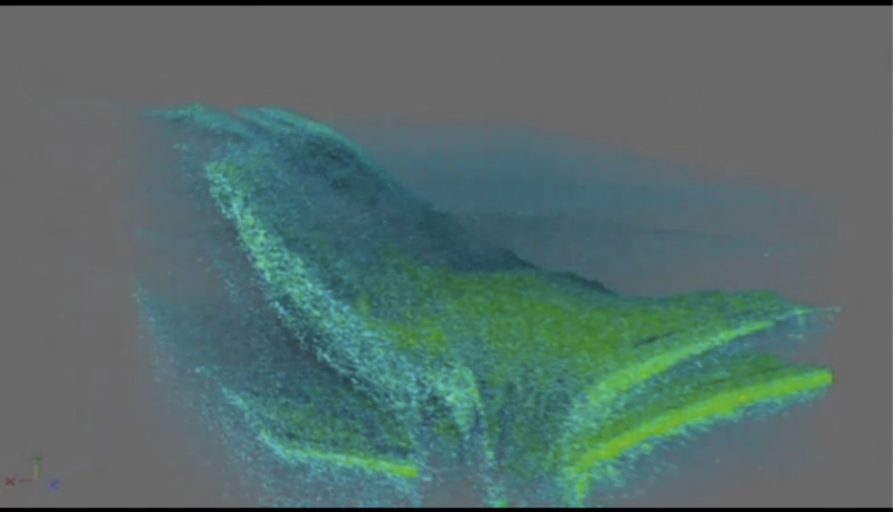 Is Macula-On Really On?