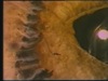 Thumbnail for shoop