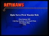 Optic Nerve Pit and Macular Hole