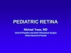 Pediatric Retina