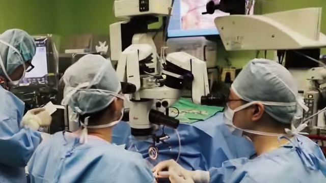 Pars Plana Vitrectomy for Rhegmatogenous Retinal Detachment: From A to Z