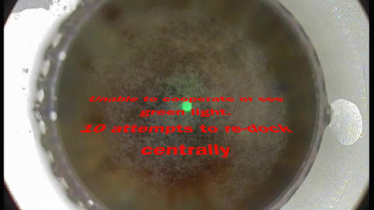 SMILE Recovery via LASIK Flap