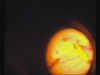 ILM Peel Under Amber Light
