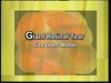 Giant Retinal Tear - Size Does Matter