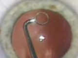Using the Whitman-Shepherd Capsule Polisher